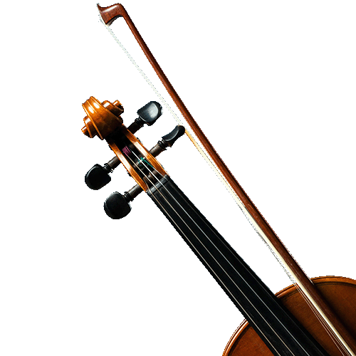 Close-up of a violin scroll and bow