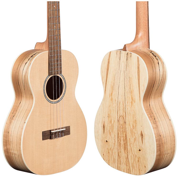 EB20 Series ukulele front and back