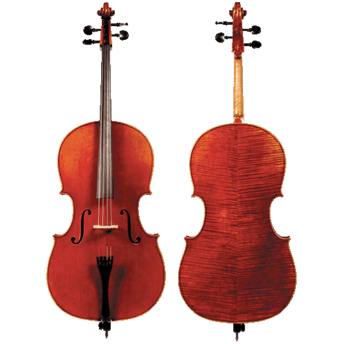 Cello front and back