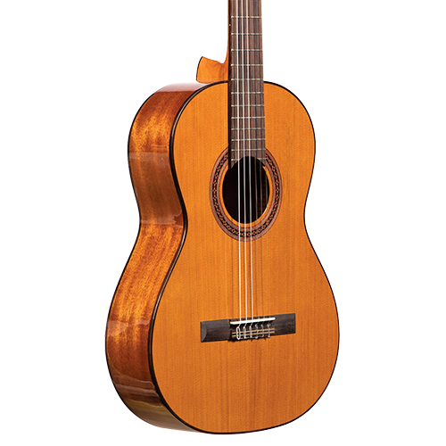Guitar front and back