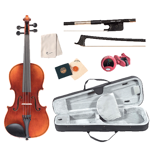 Viola