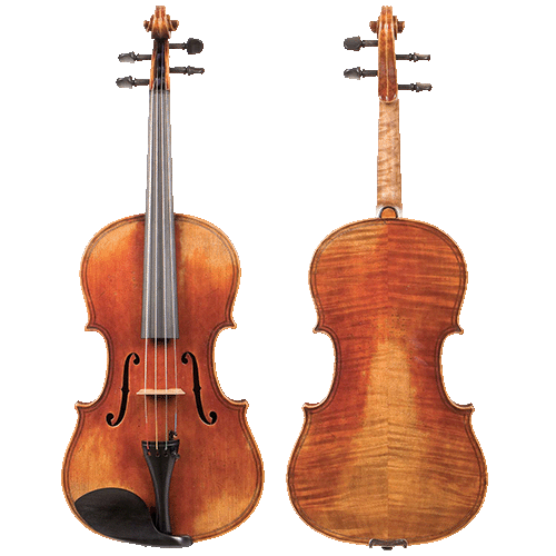 Viola front and back