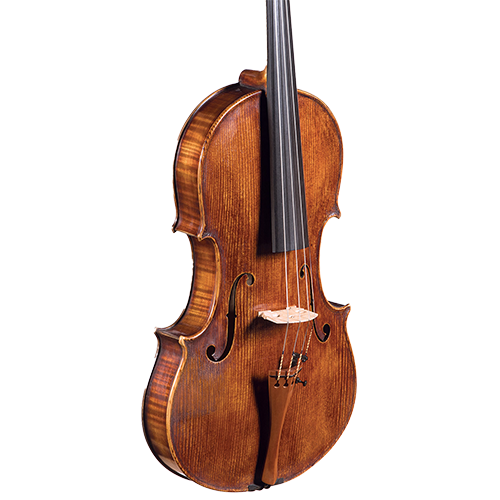 Viola front and back