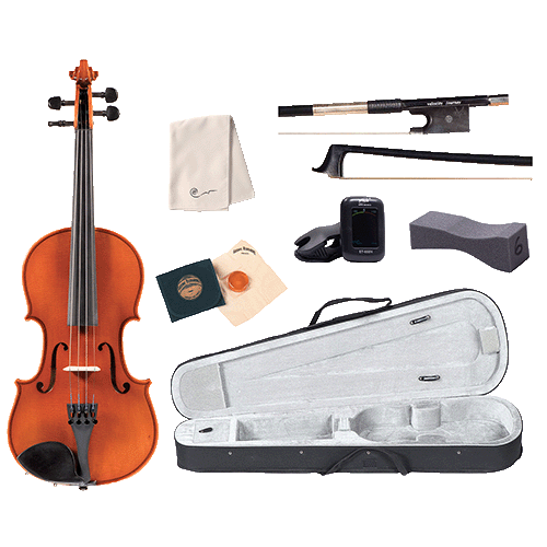 Violin
