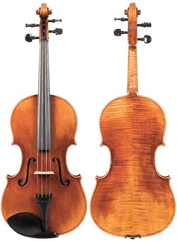 Pictures of violas