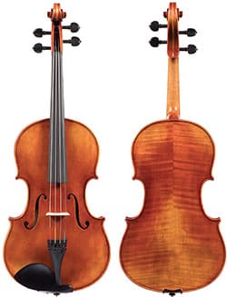 Pictures of violas