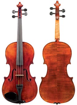 Pictures of violas