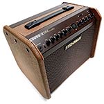 Fishman Loudbox Mini Charge Acoustic Instrument Amplifier