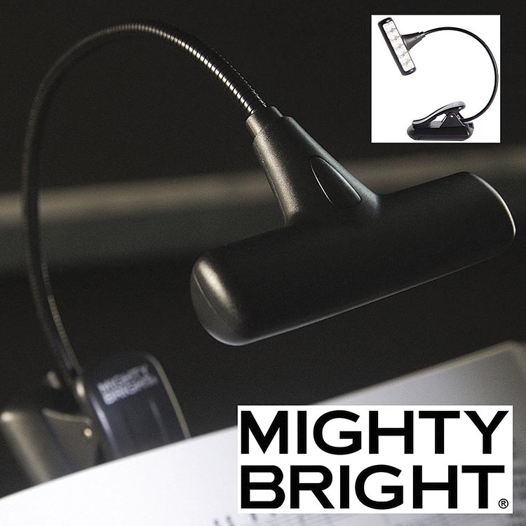 Mighty Bright Hammerhead LED Stand Light with Case