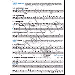 Essential Elements for Strings, Double Bass Book 2 (Original Series)