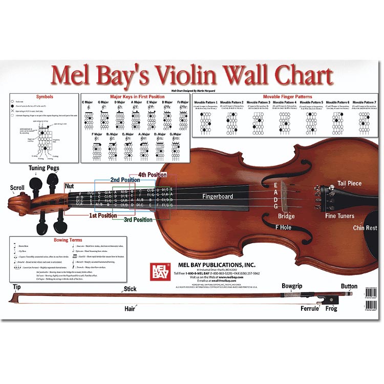 String Instruments Chart