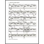 Bach's Cello Suites, Volumes 1 & 2: Analyses and Explorations; Allen Winold