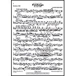 Fandango for solo cello; Lauren Bernofsky (Carl Fischer)