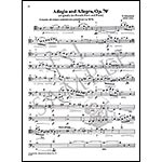 Solos for Young Cellists, Book 5; Carey Cheney (Summy)
