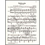 Silent Woods, opus 68/5 for cello and piano (urtext); Antonin Dvorak (G. Henle)
