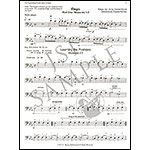 The Faure Elegie Study Book for cello, exercises by Cassia Harvey; Gabriel Faure (C.Harvey Publications)