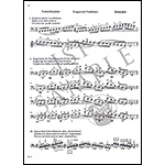Scale System for Violoncello; Flesch (Carl Fischer)