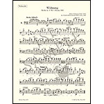 17 Famous Lieder for cello and piano (arr. Grutzmacher); Robert Schumann (Pet)