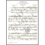 Nine Sonatas for cello and basso continuo (Pejtsik); Antonio Vivaldi