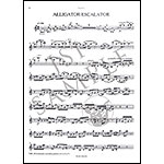 John's Book of Alleged Dances for string quartet, parts with pre-recorded CD; John Adams (Boosey & Hawkes)