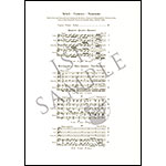 Piano Quartets;  Ludwig van Beethoven