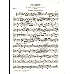 Piano Quartets;  Ludwig van Beethoven