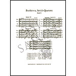 String Quartets, volume 2, op. 59, nos. 1-3, opp. 74 and 95 (parts); Ludwig van Beethoven (C. F. Peters)