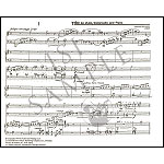 Piano Trio, violin/cello/piano; Leonard Bernstein (Boosey & Hawkes)