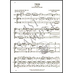 Trio in G minor for 2 violins and cello; Alexander Borodin