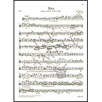 Piano Trio in A Minor op. 114, clarinet (or viola) with cello and piano (urtext); Johannes Brahms (G. Henle Verlag)