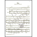 Piano Trio in A Minor op. 114, clarinet (or viola) with cello and piano (urtext); Johannes Brahms (G. Henle Verlag)