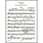 Piano Trio in B Major, op. 8; Johannes Brahms (C. F. Peters)