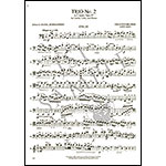 Piano Trio no. 2 in C Major, op. 87; Johannes Brahms (International)