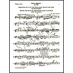 Double Concerto in E Minor, op.88, clarinet (or violin) and viola with piano; Max Bruch)