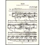 Piano Trio, opus 8 in G Minor; Frederic Chopin (Edition Peters)