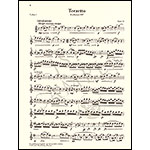 Terzetto in C major, op.74, for two violins and viola; Antonin Dvorak (Henle)