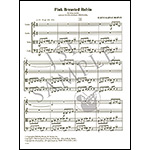 Pink Breasted Robin, string quartet, score and parts; Elena Kats-Chernin (Boosey & Hawkes)