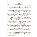 Works for Piano Trio, Opp. 63, 80, 88, 110 (urtext) (parts and score); Robert Schumann