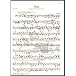 Works for Piano Trio, Opp. 63, 80, 88, 110 (urtext) (parts and score); Robert Schumann