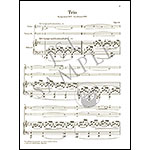 Works for Piano Trio, Opp. 63, 80, 88, 110 (urtext) (parts and score); Robert Schumann