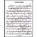 Music for Two, volume 3, violin/cello-Irish/Rags/G&S (LRM)