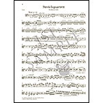 String Quartet in E minor (parts) (urtext); Giuseppe Verdi