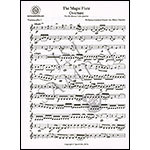 The Magic Flute Overture for four cellos (Dejardin); Wolfgang Amadeus Mozart