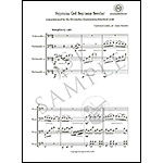Seyrana Gel Seyrana Serdar for four cellos (Barralet); Traditional Arabic