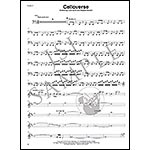 2Cellos - Sheet Music Collection; Various (Hal Leonard)