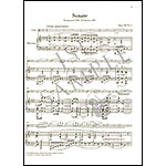 Sonatas op. 120, 1 and 2, for viola and piano (revised urtext edition); Johannes Brahms (G. Henle)