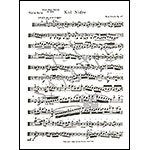 Kol Nidrei, op. 47, viola and piano; Max Bruch (Carl Fischer)