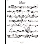 70 Etudes for Solo Viola; Eugenio Cavallini (Gems Music Publications)