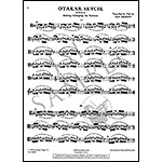 Shifting the Positions, opus 8 for Viola; Otakar Sevcik (Elkan-Vogel)