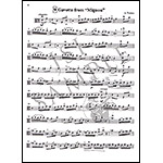 Suzuki Viola School, Volume 2, Book with CD - International